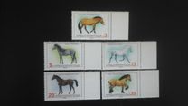 [Horse Breeds, type DAO]