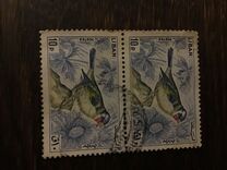 [Birds, type LS]