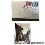 [Coat of Arms of Poland - Vertical Lines in Background, 유형 CL1]