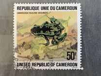 [Cameroun Frogs, වර්ගය UA]