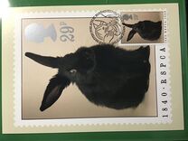 [The 150th Anniversary of the Royal Society for Prevention of Cruelty to Animals, type AHO]