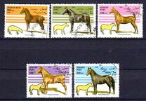 [Horses, type AMR]