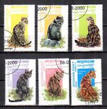 [Cats, type AUT]
