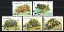 [Tortoises and Turtles, Tip FA]