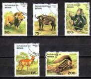 [Mammals, type QO]