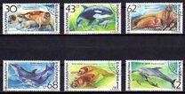 [Marine Mammals, tip ENH]