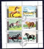 [Horses, տեսակ ELD]