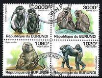 [Fauna - Primates, típus BMS]