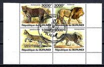 [Fauna - Wild Cats, tip BNI]