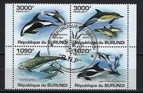 [Marine Life - Dolphins, тип BNY]