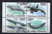 [Marine Life - Whales, type BNA]