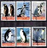 [Penguins, סוג BZF]