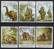 [Indian Elephant, Tip TD]