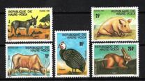[Animaux domestiques, type ABI]