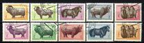 [Mongolian Animals, tegund CT]