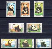 [The Giant Panda, 類型 BXF]