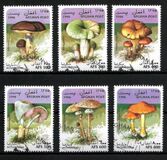 [Mushrooms, タイプ ALQ]