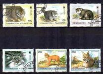 [Small Cats, type CJ]