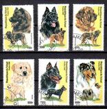 [Fauna - Dogs, 類型 BFU6]