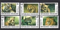 [Big Cats from around the World, タイプ CUJ]