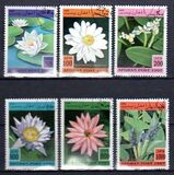 [Piante acquatiche - Secondo l'UPU, il governo dell'Afghanistan dopo il 2001 ha dichiarato che tutti i francobolli con il nome Afghan Post, prodotti durante l'era del dominio talebano, erano non autorizzati e illegali, Scrivi AOD]