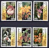 [Orchids, type BUC]