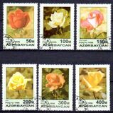 [Roses, тып IT]