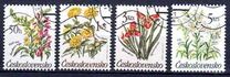 [Flowers, type CQN]