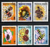 [Insects Polinating Flowers, type DUC]