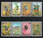 [Beetles, type XP]