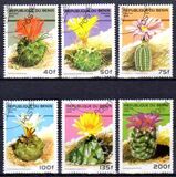 [Flowering Cacti, type TV]