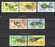 [Beetles, Typ CBV]