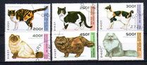 [Cats, tegund ASM]