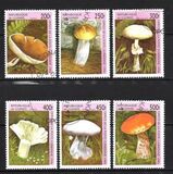 [Fungi, tegund AST]