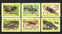 [Beetles from Around the World, 유형 BDH]