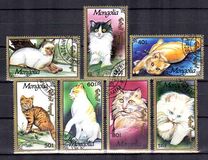 [Cats, type CDU]