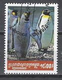 [Penguins, סוג BZJ]