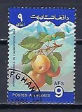 [World Food Day, סוג AAL]