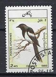 [Fauna - Birds, タイプ ACZ]