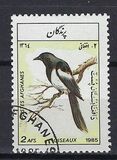 [Fauna - Birds, タイプ ACZ]