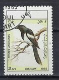 [Fauna - Birds, タイプ ACZ]