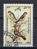 [Fauna - Birds, タイプ ADC]