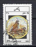 [Fauna - Birds, タイプ ADE]