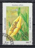 [Flora - International Stamp Exhibition ARGENTINA '85 - Buenos Aires, Argentina, type ABZ]