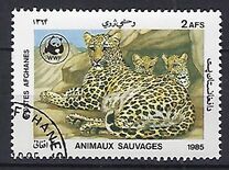 [WWF - Leopard, տեսակ ADH]