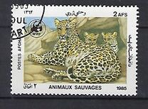 [WWF - Leopard, տեսակ ADH]