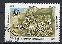 [WWF - Leopard, տեսակ ADH]