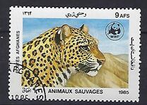 [WWF - Leopard, տեսակ ADI]