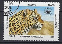 [WWF - Leopard, տեսակ ADI]