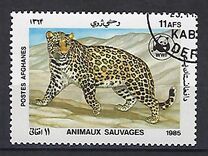 [WWF - Leopard, տեսակ ADJ]
